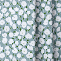 dwm:LR127641:close_up