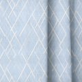 dwm:LR361066:close_up