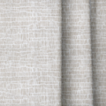 dwm:LR364163:close_up