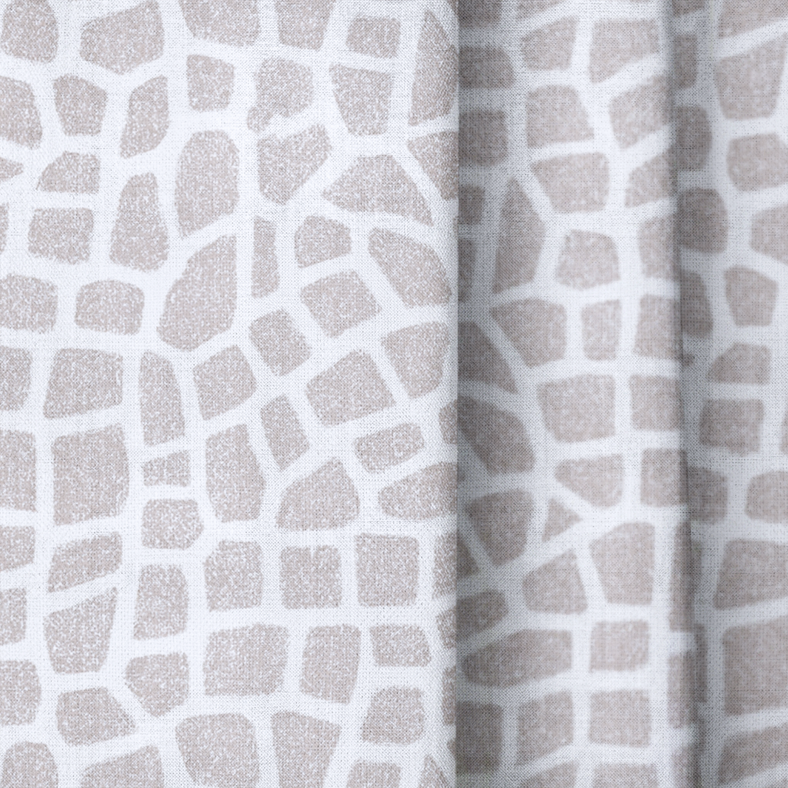 dwm:LR423589:close_up