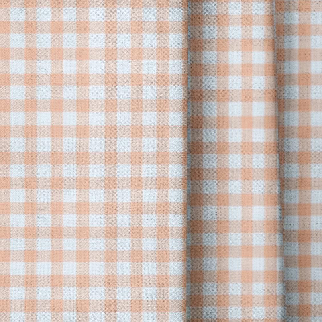 dwm:LR446169:close_up