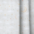 dwm:LR584275:close_up