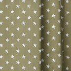 dwm:LR642779:close_up