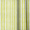 dwm:LR669841:close_up