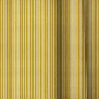 dwm:LR834252:close_up