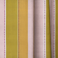 dwm:LR918060:close_up