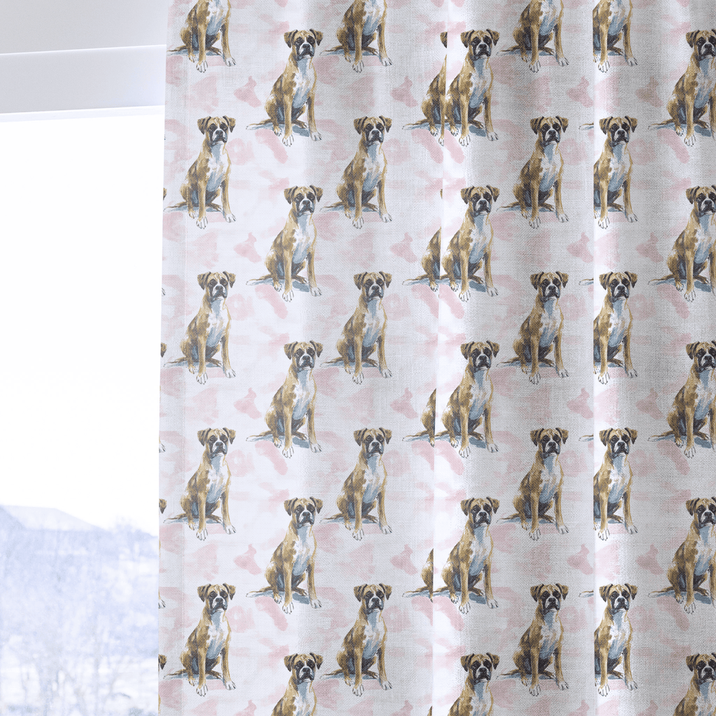 Boxer Born - The Drapery