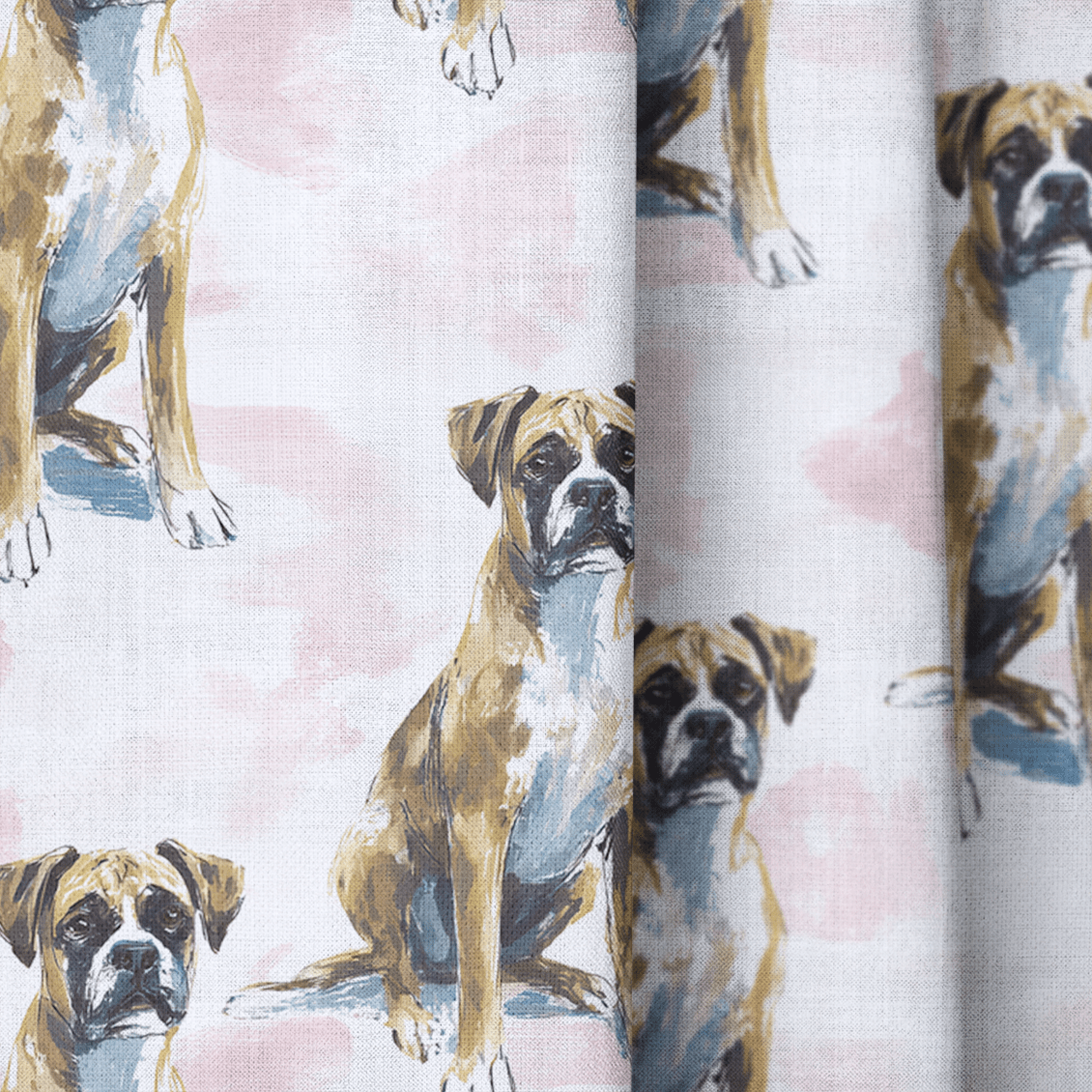 Boxer Born - The Drapery