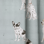 Field Notes - Curtain Panel - The Drapery