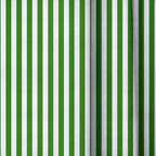 Green Stripe - Curtain Panel - The Drapery