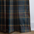 Ian - Curtain Panel - The Drapery