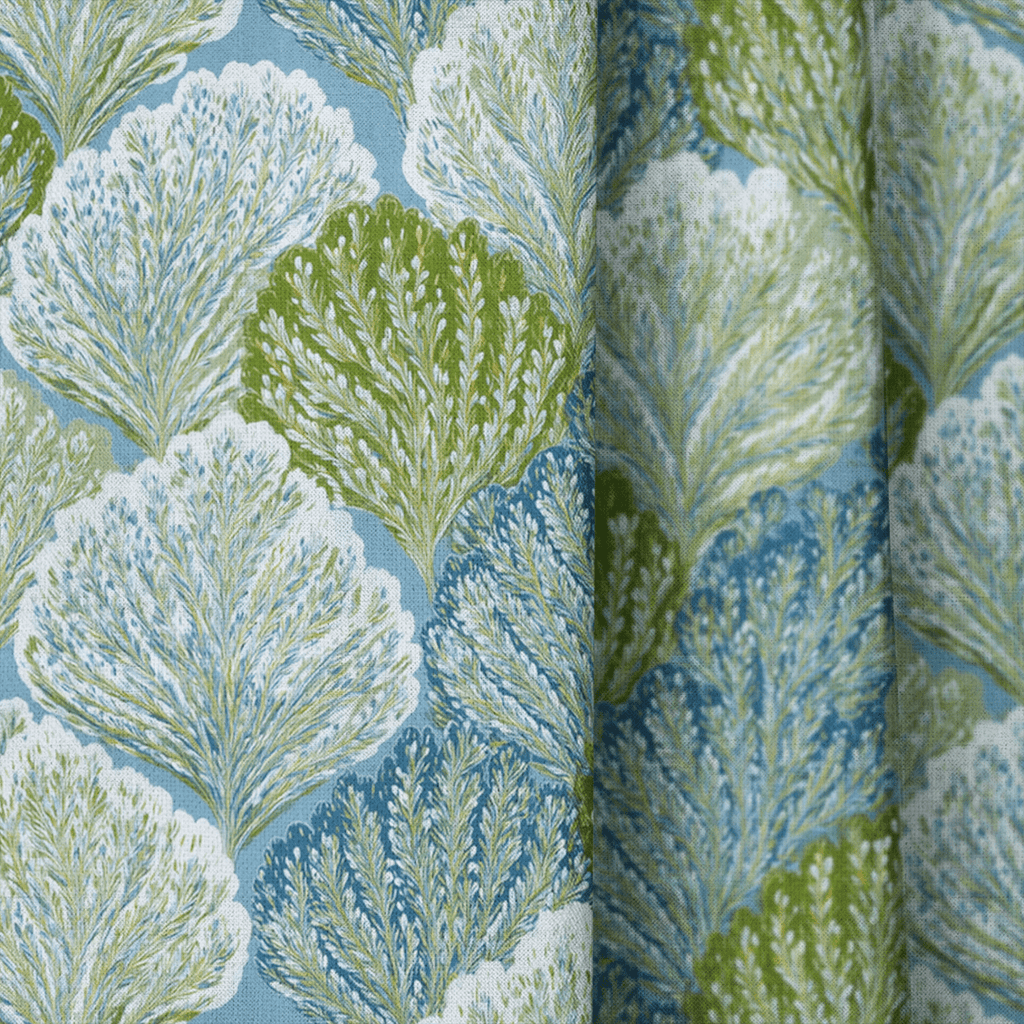 Painted Coral - The Drapery