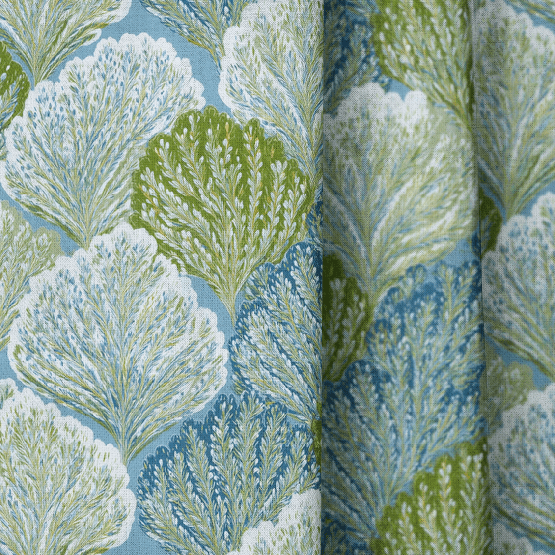 Painted Coral - The Drapery