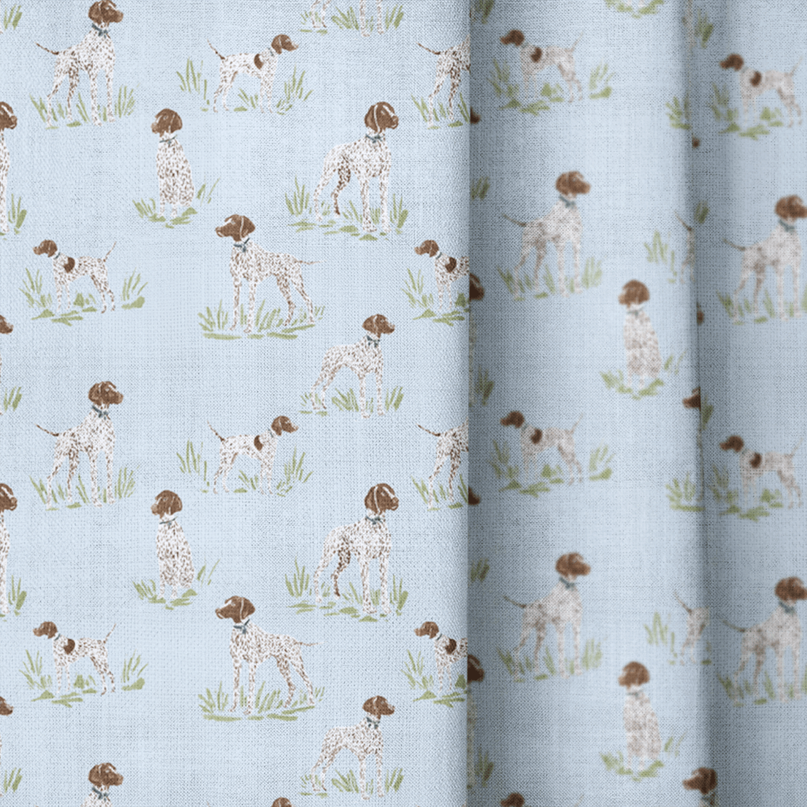 Pointer Sky - Curtain Panel - The Drapery