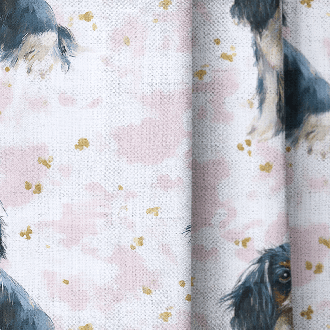 Regal Spaniel - The Drapery