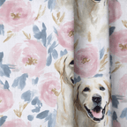 Snuggle Lab - The Drapery